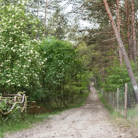 Rafa Przy Plazy 3* 斯图托沃