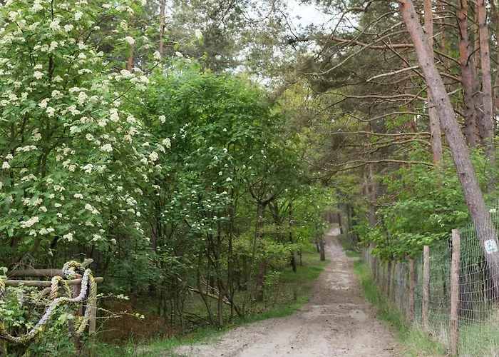 Rafa Przy Plazy 3* Sztutowo